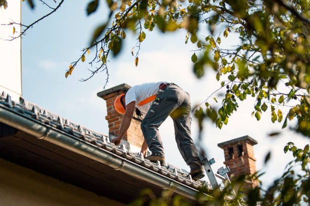 Asphalt Shingles Roofing in Hebron, IL